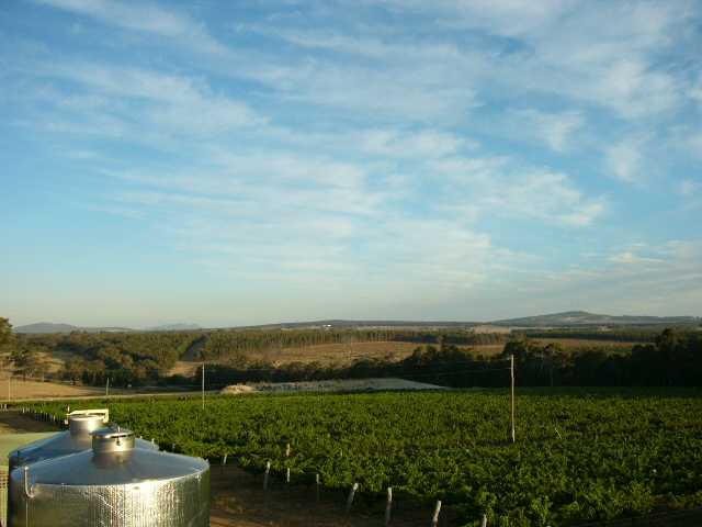 Vineyard Views over the tanks