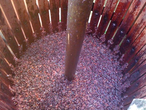 Wine Making- the Process- Galafrey Wines Australian Wines